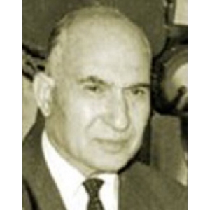 Mahmoud Fawzi