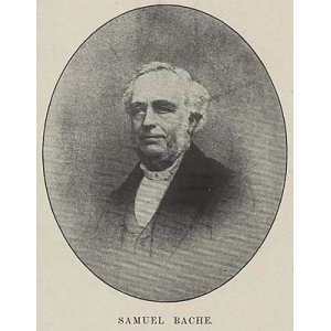 Samuel Bache